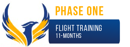 ignite flight pilot training phase one graphic